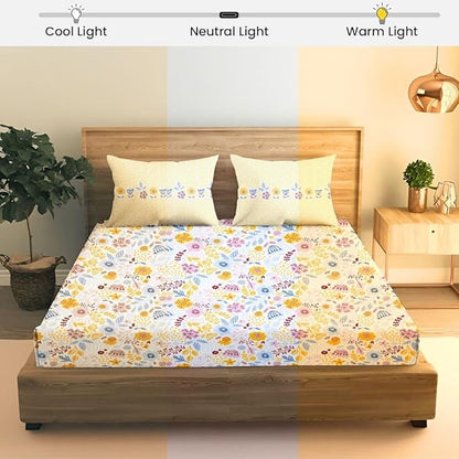 100% Cotton Bed Sheet for King Size Bed, 1 King Size Bed Sheet (108x108 Inches) with 2 Pillow Covers, Premium 240 TC Bedsheet for Double Bed King Size
